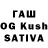 Конопля OG Kush Dasha Lambina