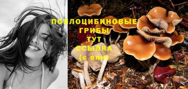 спиды Зеленокумск