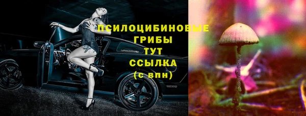 шишки Зеленодольск
