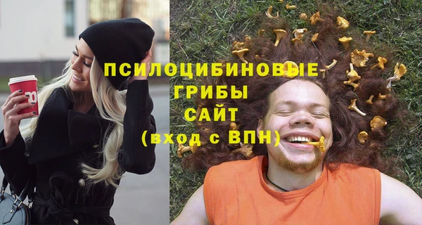 спиды Зеленокумск