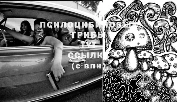 спиды Зеленокумск