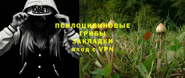 спиды Зеленокумск