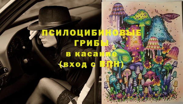 шишки Зеленодольск