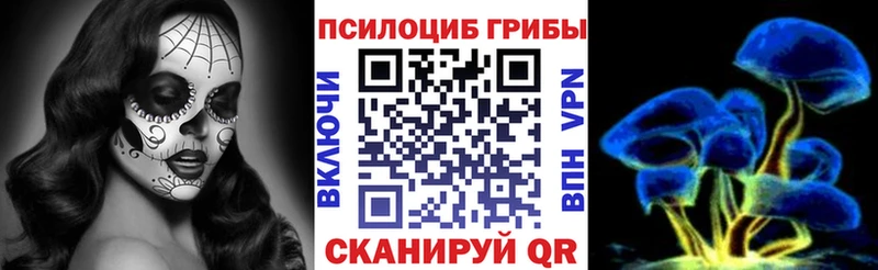 мега tor  наркота  Черкесск  Псилоцибиновые грибы мухоморы 